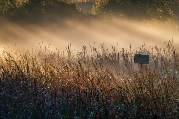 Morning Mists